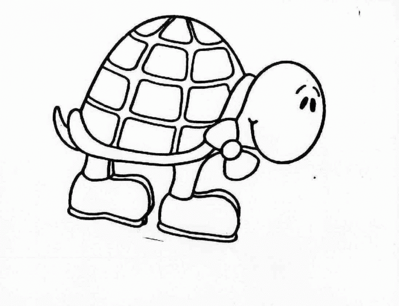 Sketch Turtle cartoons