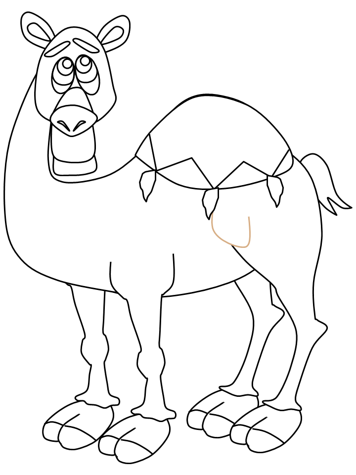 Camels Coloring Pages Pictures 