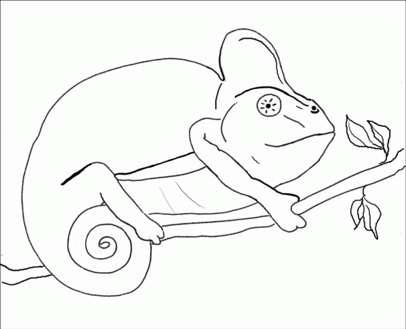 Chameleon Images - HD Printable Coloring Pages