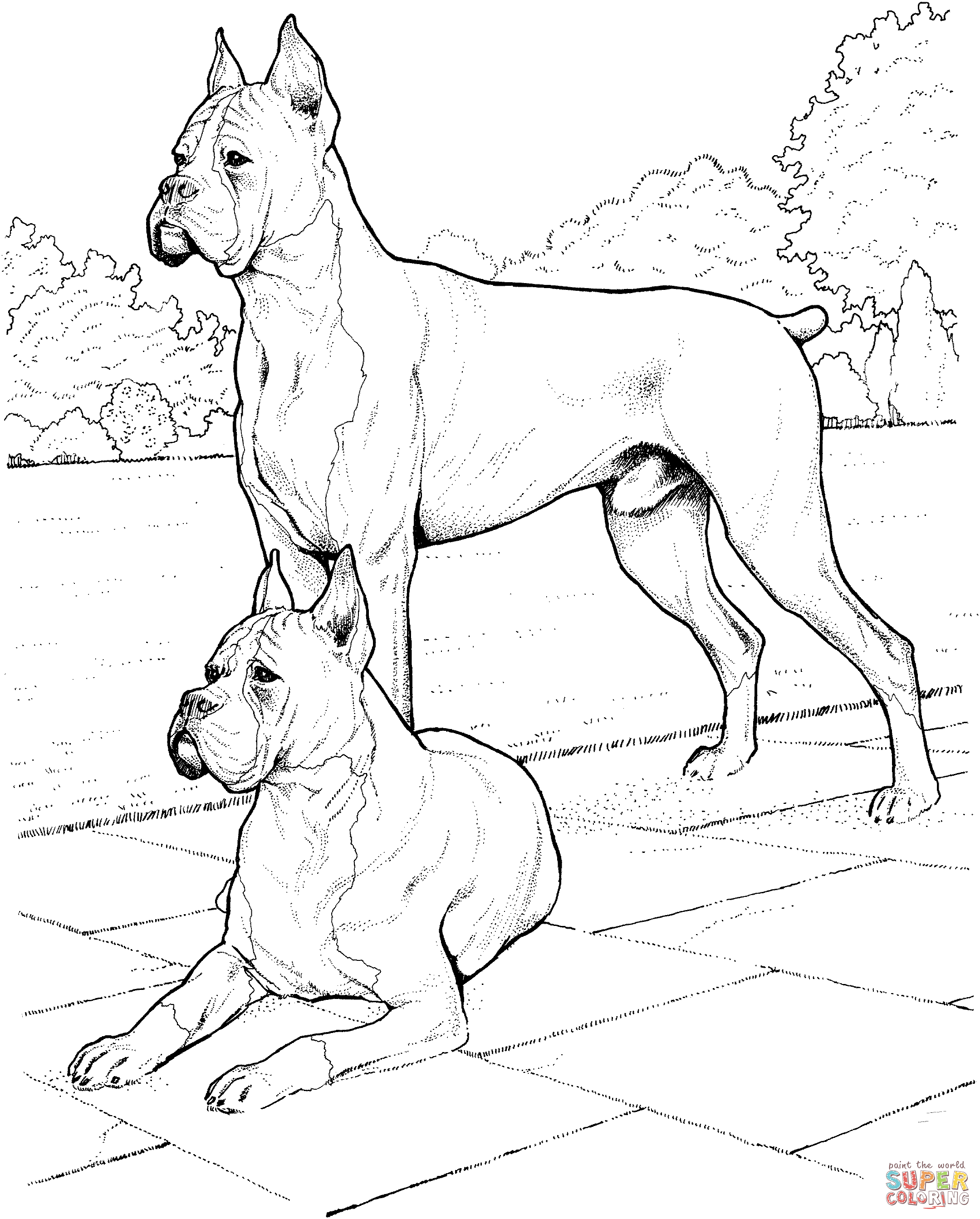 Featured image of post Pit Bull Coloring Pages - By best coloring pagesseptember 14th 2019.