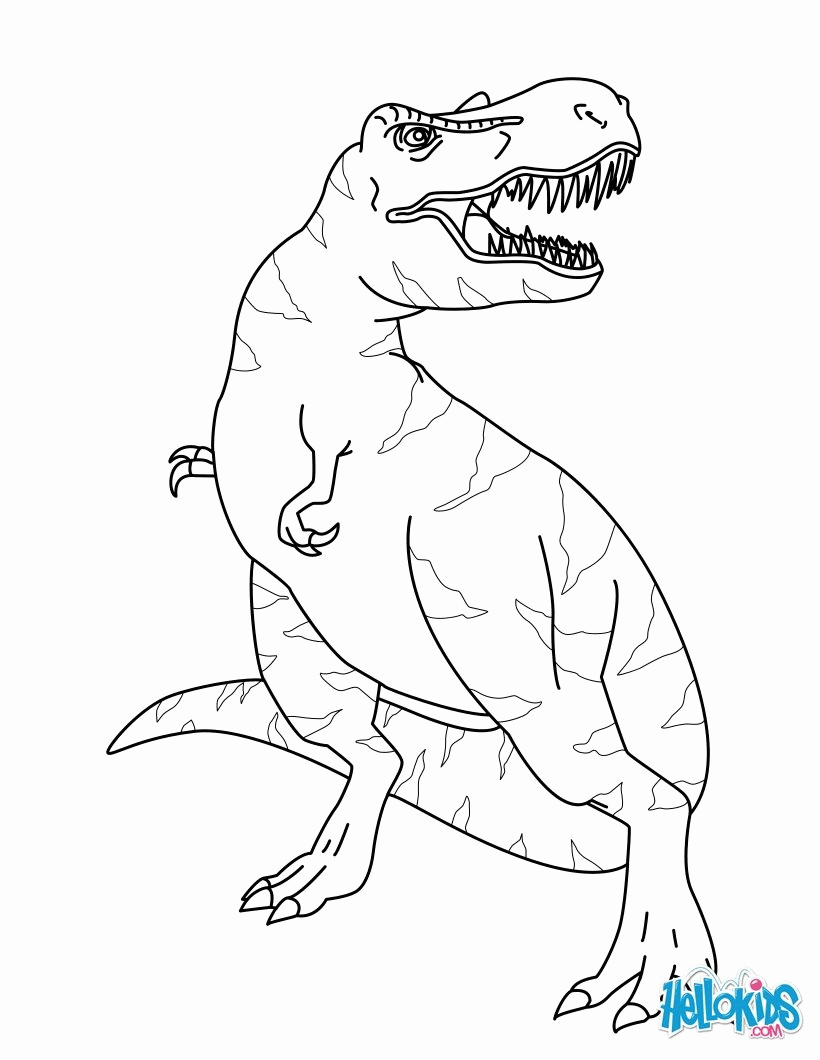 DINOSAUR coloring pages - Tyrannosaurus Rex