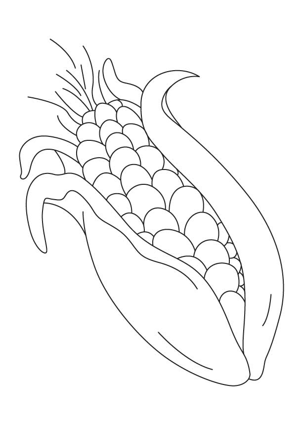 Free Corn Coloring Sheet, Download Free Clip Art, Free Clip Art on