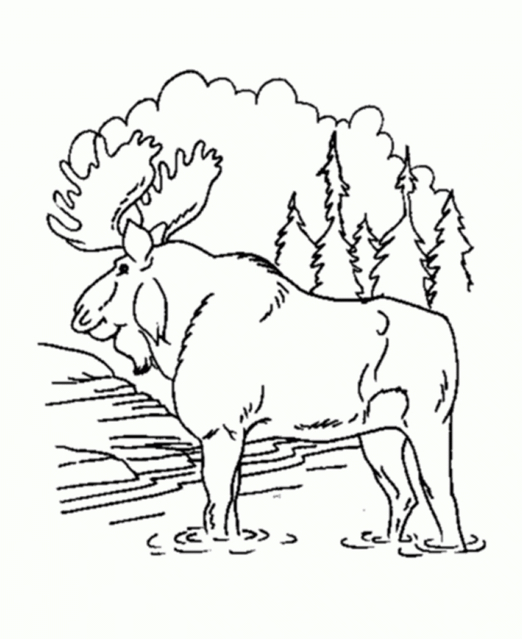 Forest Animal Printable Coloring Pages Forest Animals Coloring