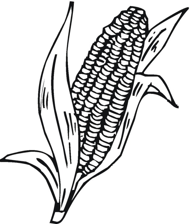 Corn Stalks Coloring Page