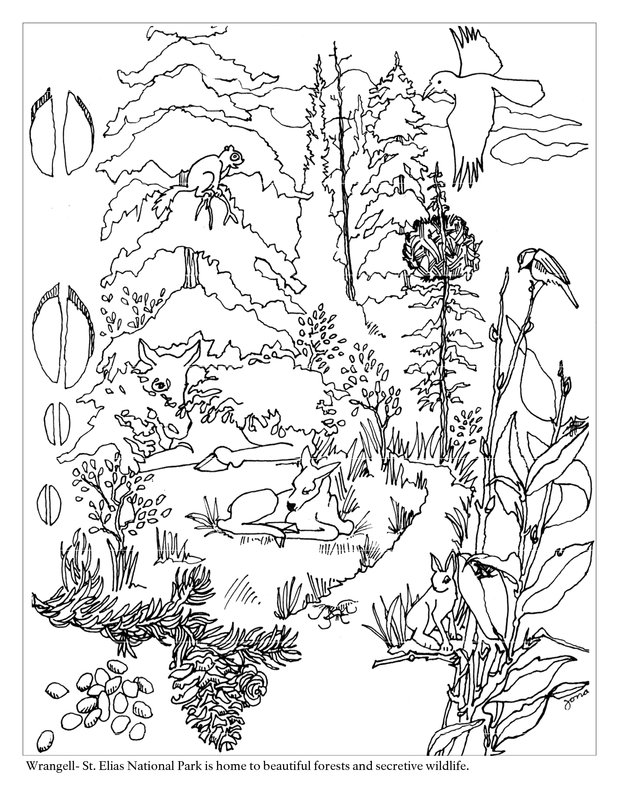 forest coloring page | High Quality Coloring Pages