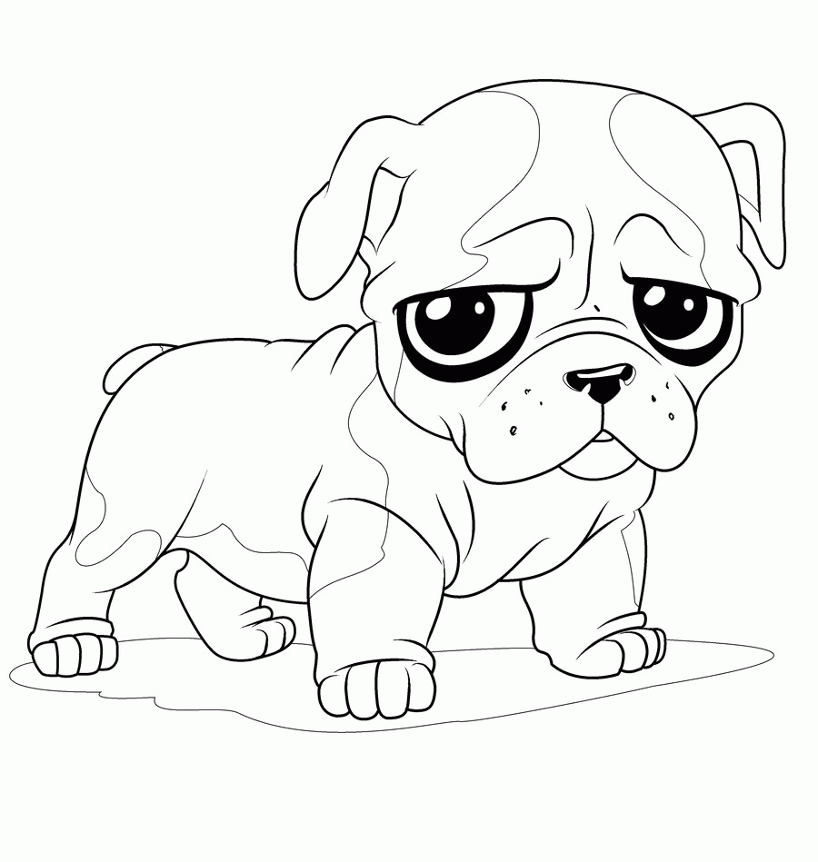 English Bulldog | Coloring Pages for Kids and for Adults