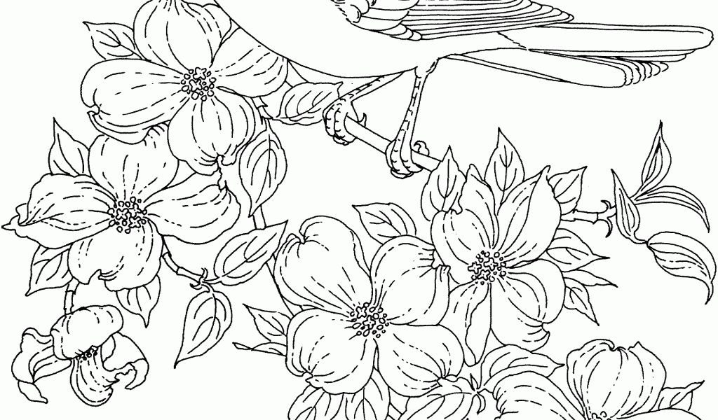 Flowers And Birds Coloring Pages Coloring Panda throughout