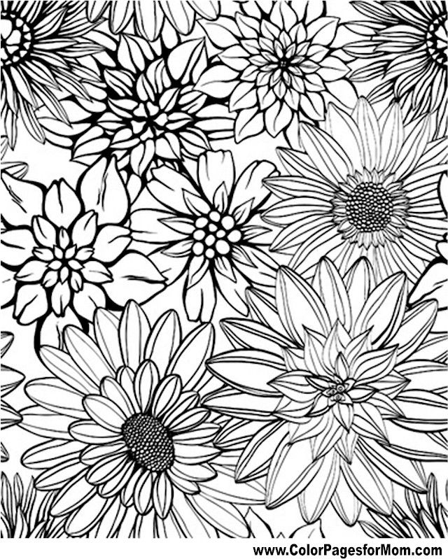 flower-coloring-pages-printable-free