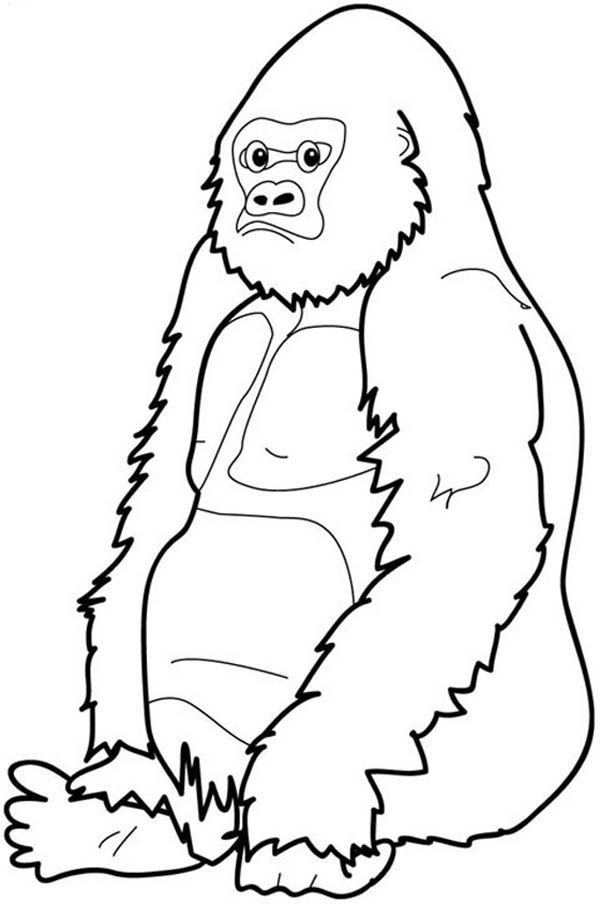 20 One And Only Ivan Coloring Pages - Printable Coloring Pages