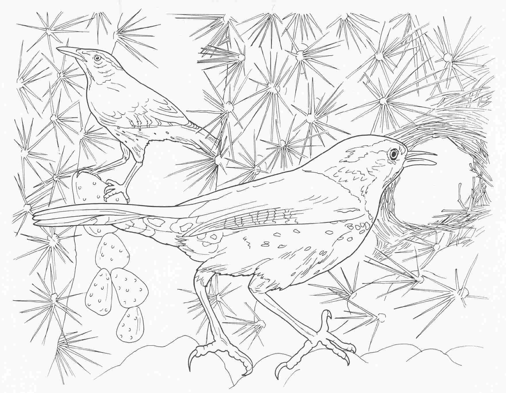 Complicated Animal Coloring Pages - Complex Animal