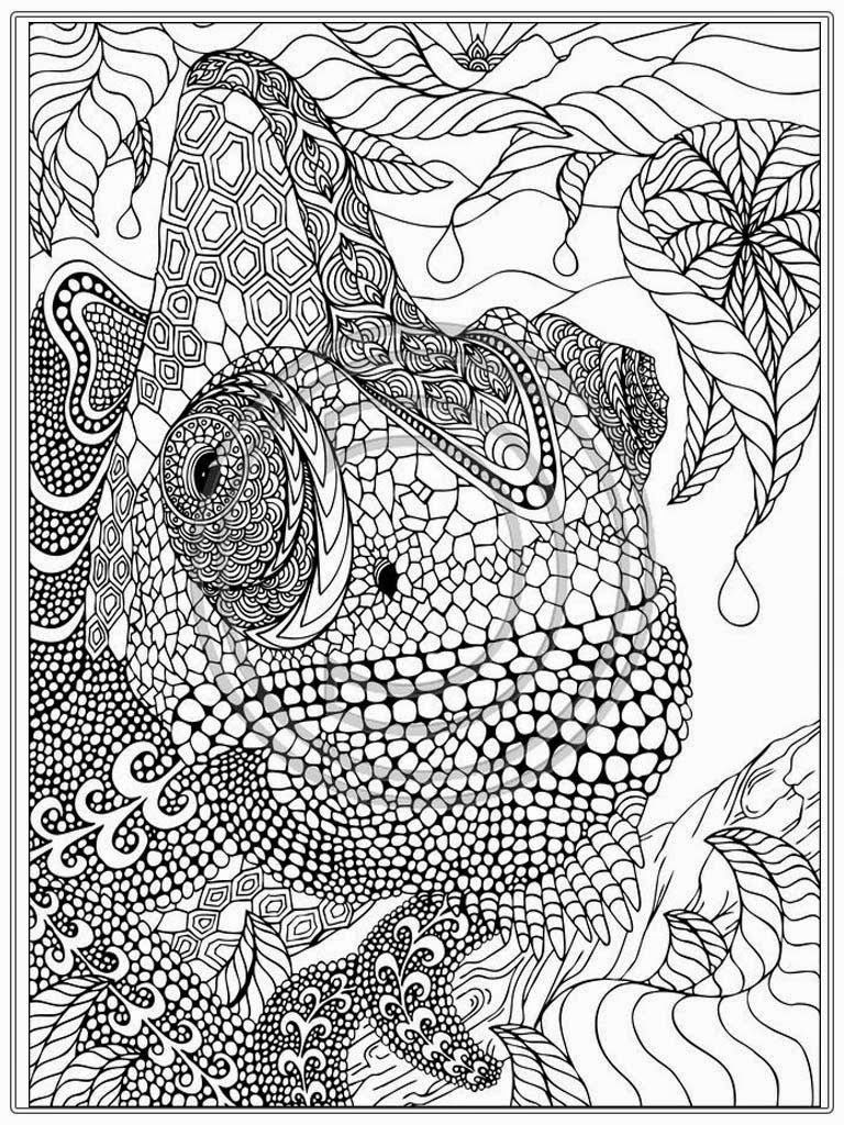 Printable Iguana Adult Coloring Pages | Realistic Coloring Pages