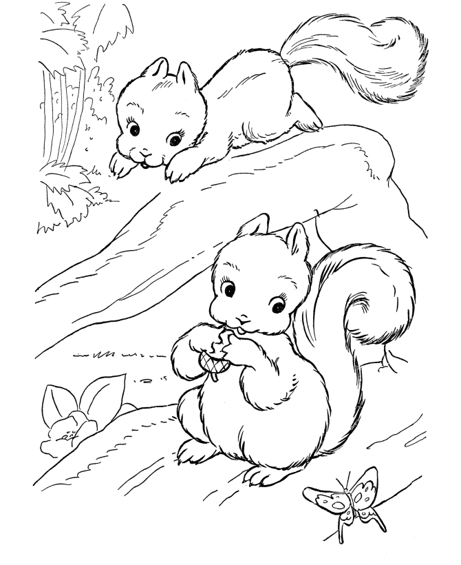 Best Acorn Coloring Pages For Preschoolers