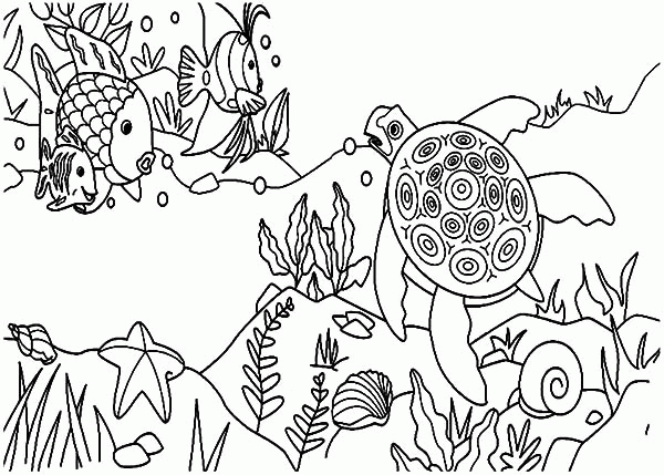 Ecosystem | Coloring Pages for Kids and for Adults