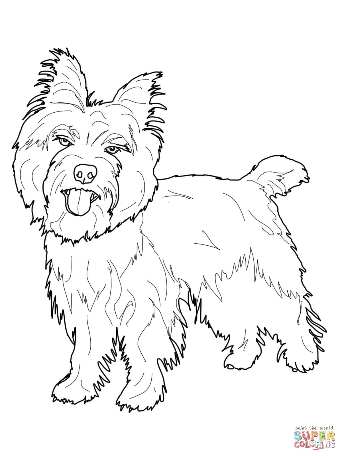 coloring book of cairn terrier   Clip Art Library