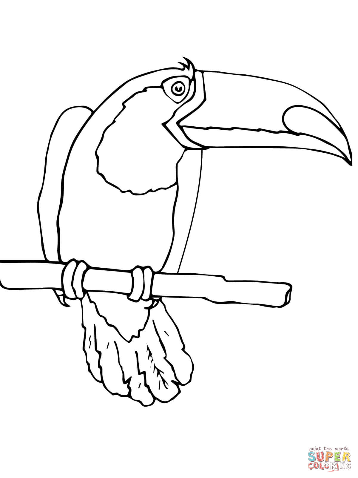 rainforest toucan coloring page