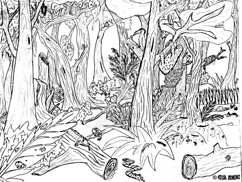 Forest Animal Coloring Pages Printable | Coloring