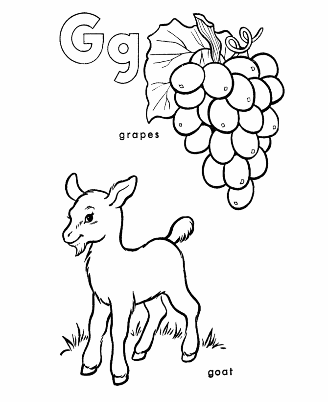 ABC Alphabet Coloring Sheets - G is for grapes / goat 