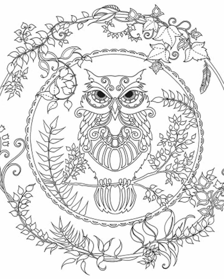 Enchanted Forest Owl | Free Printable Coloring Pages |Free coloring on Clipart Library