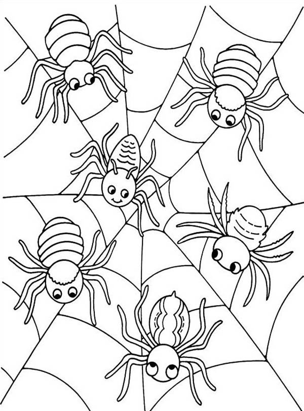 free-halloween-spider-coloring-pages-download-free-halloween-spider