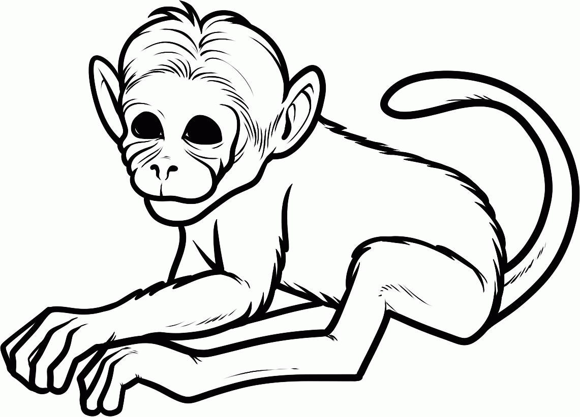 free-realistic-monkey-coloring-pages-download-free-realistic-monkey
