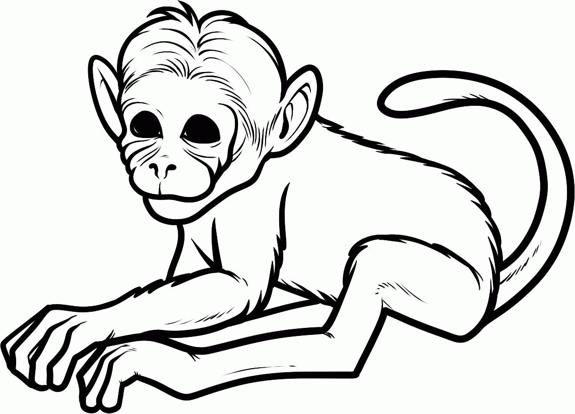 Free Realistic Monkey Coloring Pages, Download Free Realistic Monkey