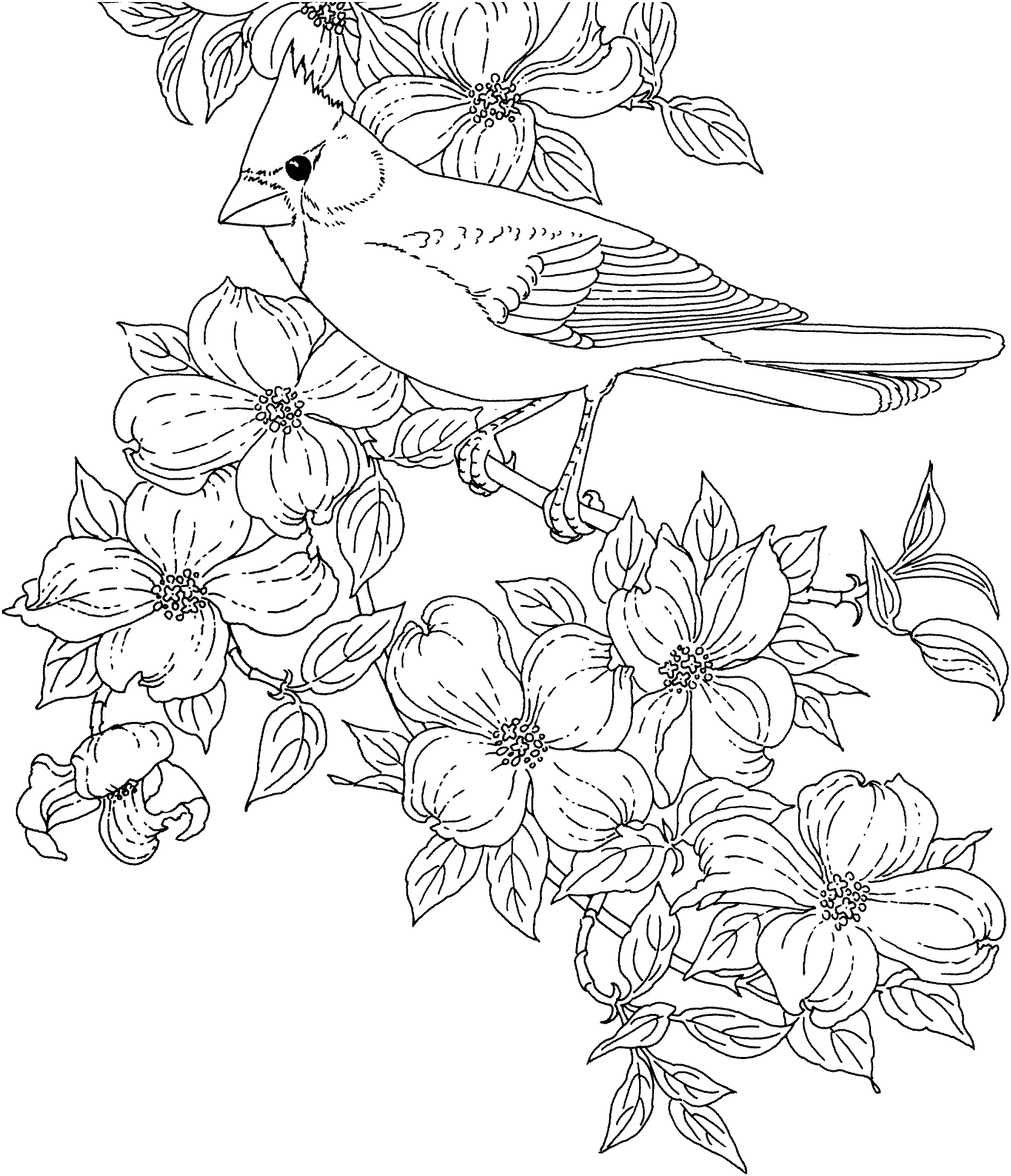 Clip Arts Related To : line drawing birds with flower. view all Birds And F...