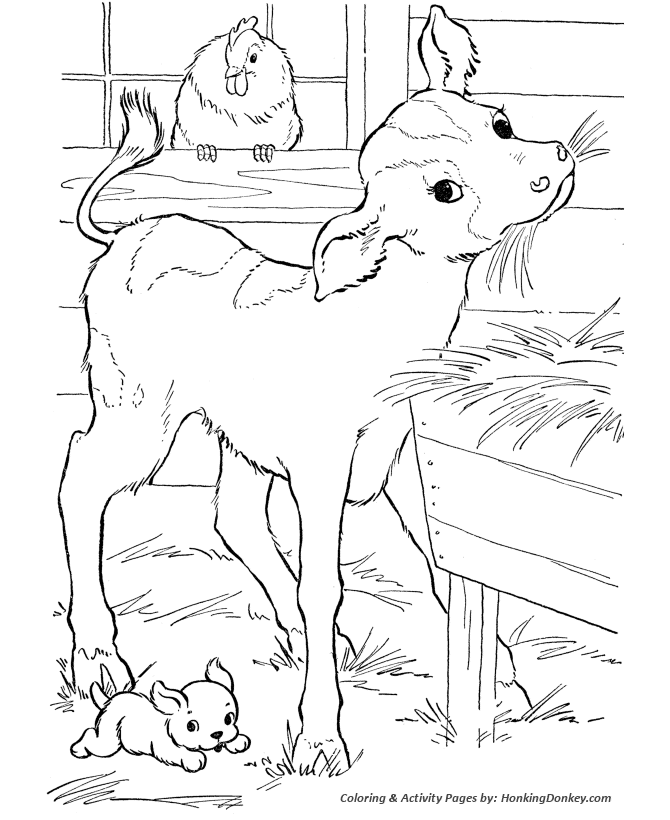 Free Cow Printable Coloring Pages, Download Free Cow Printable Coloring Pages png images, Free