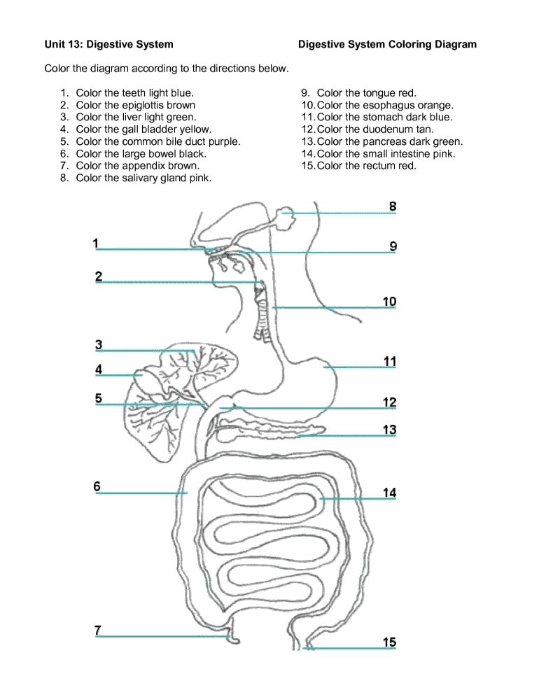 Free Coloring Pages Of Digestive System Download Free Coloring Pages