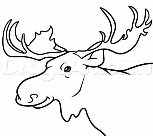 Featured image of post Moose Head Drawings Moose head moose art picasso paintings watercolor paintings colorful animals animal heads colorful drawings vincent van gogh