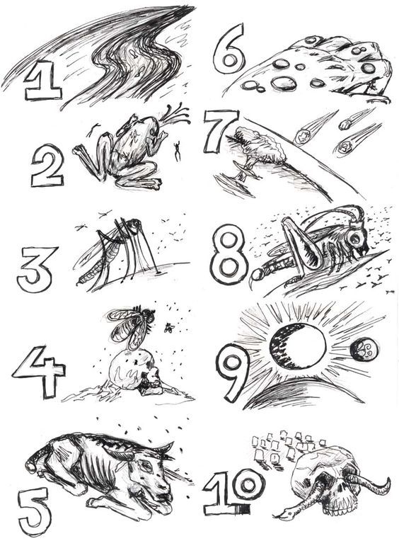 10-plagues-of-egypt-coloring-page-clip-art-library