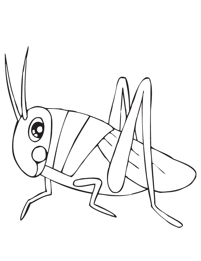 Free Grasshopper Coloring Pages Download Free Grasshopper Coloring