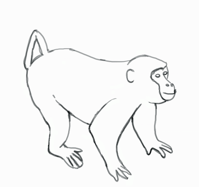 How To Draw a Monkey - Step