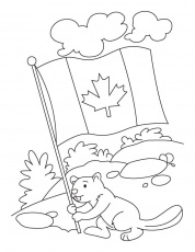 Happy beaver celebrating the Canada day coloring pages | Download