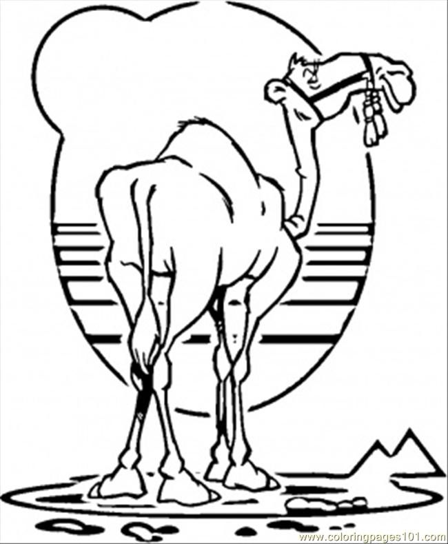 Coloring Pages Camel (Countries  Egypt) - free printable coloring
