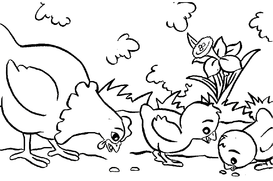 Chickens | Coloring pages
