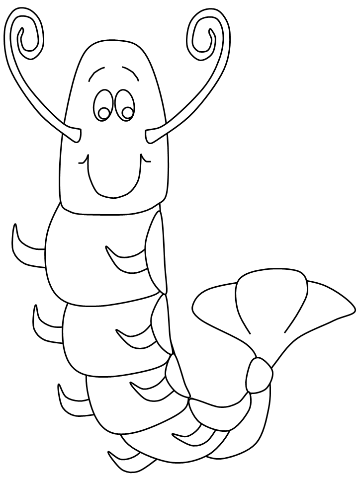 Ocean Shrimp Animals Coloring Pages  Coloring Book