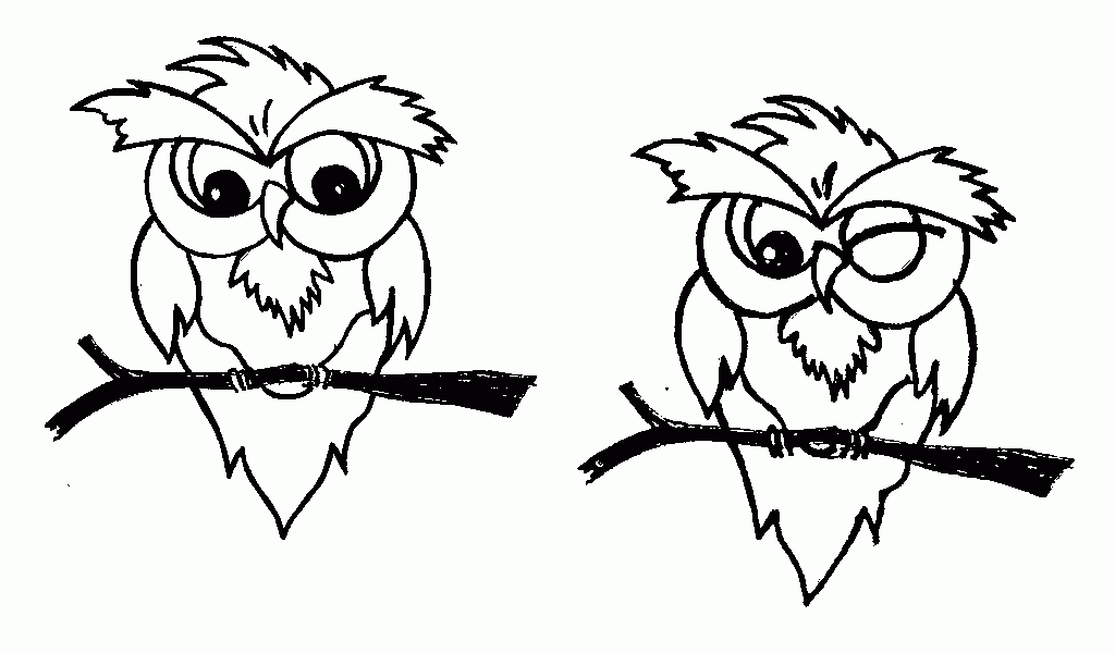 Cartoon Owl Face