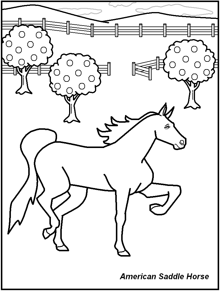 SADDLE Colouring Pages