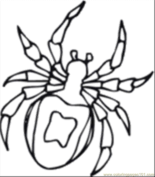 printable insect colouring pages Clip Art Library