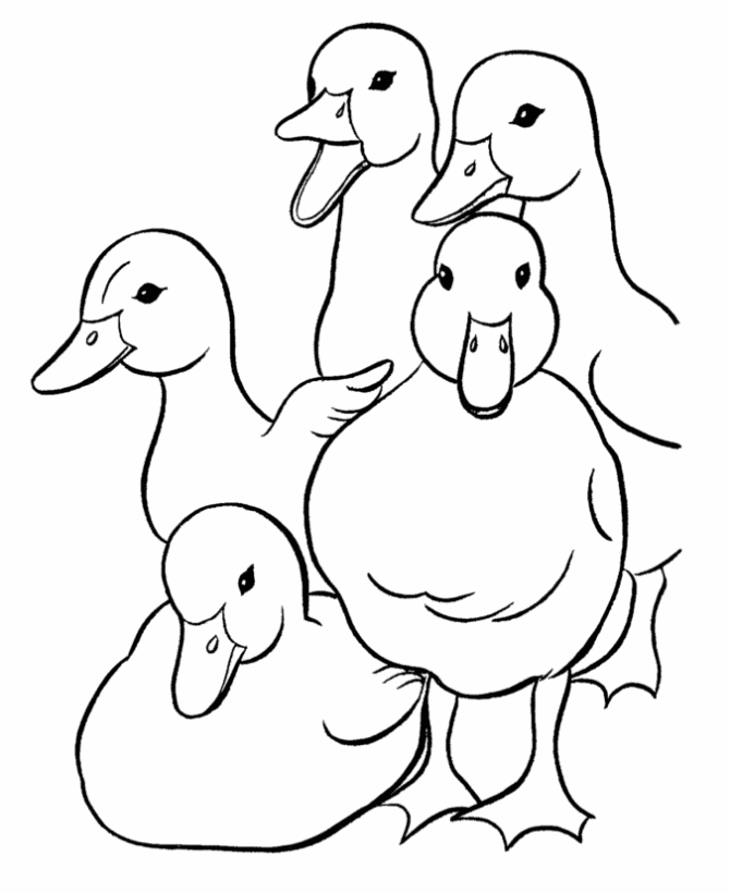 Print And Coloring Pages Duck For Kids