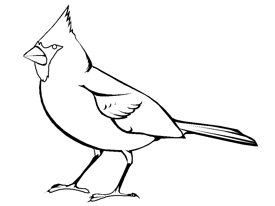 Cardinal Coloring Pages Printable 10 | Free Printable Coloring Pages