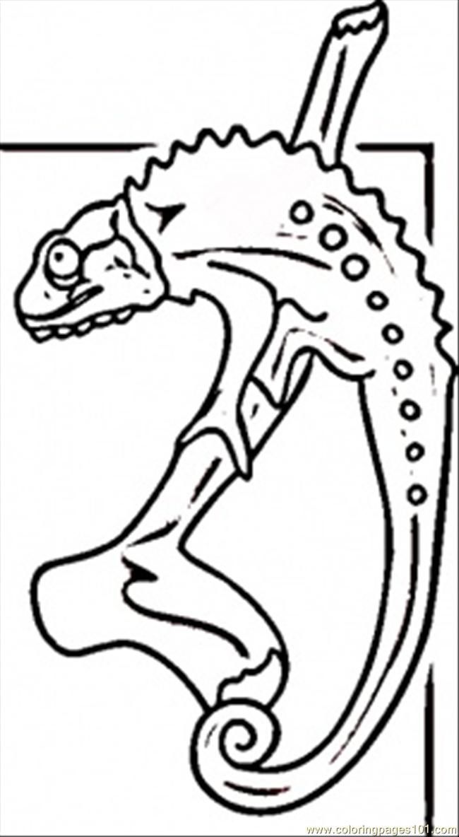 Free Lizard Colouring Pictures Download Free Clip Art Free