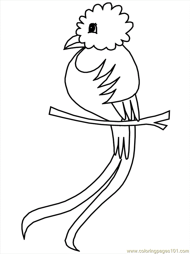 Coloring Pages Mexican Coloring Quetzal (Countries  Mexico