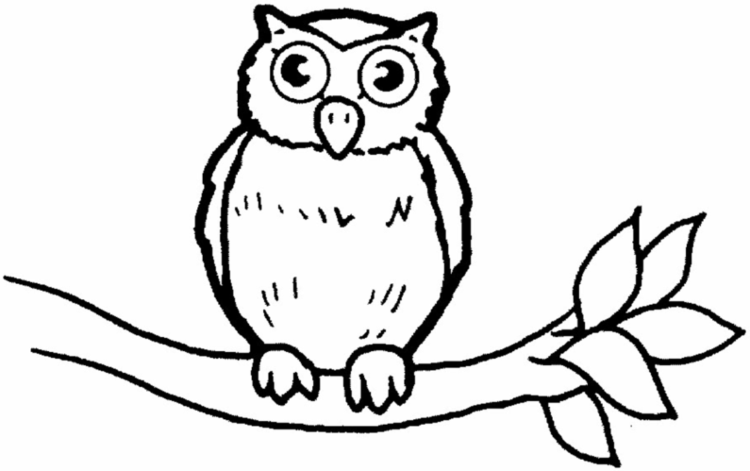 Luv owls: Owls Colouring Pages