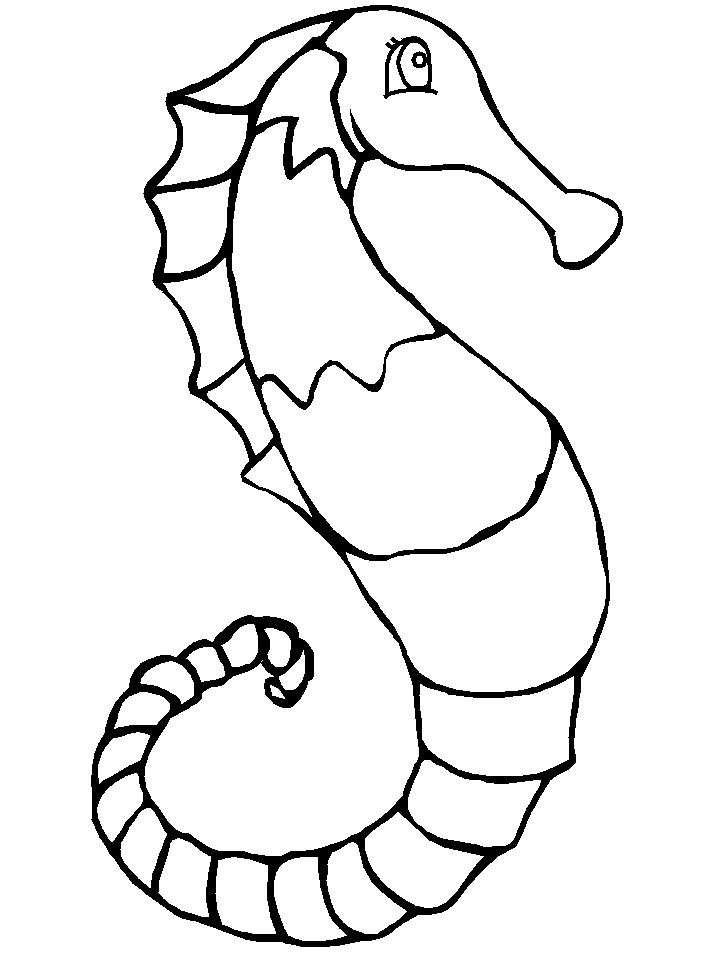 Seahorse Coloring Pages Images  Pictures 