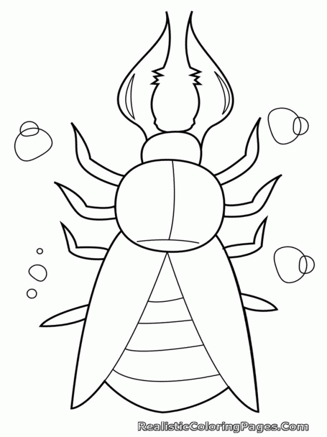 Realistic Insects| Coloring Pages for Kids Printable Inspiring