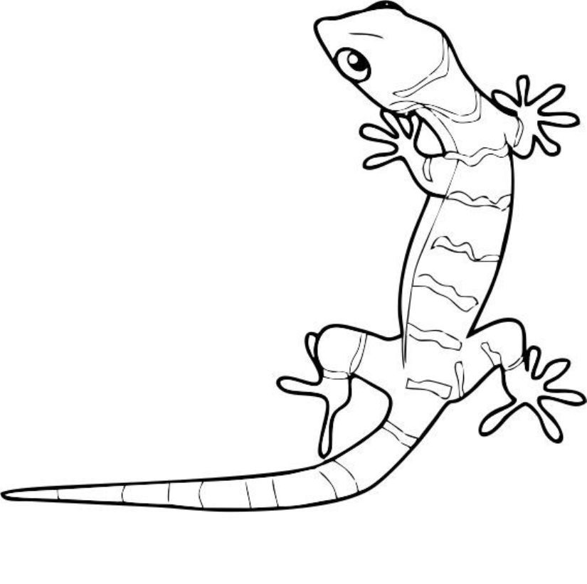 cartoon gecko Colouring Pages