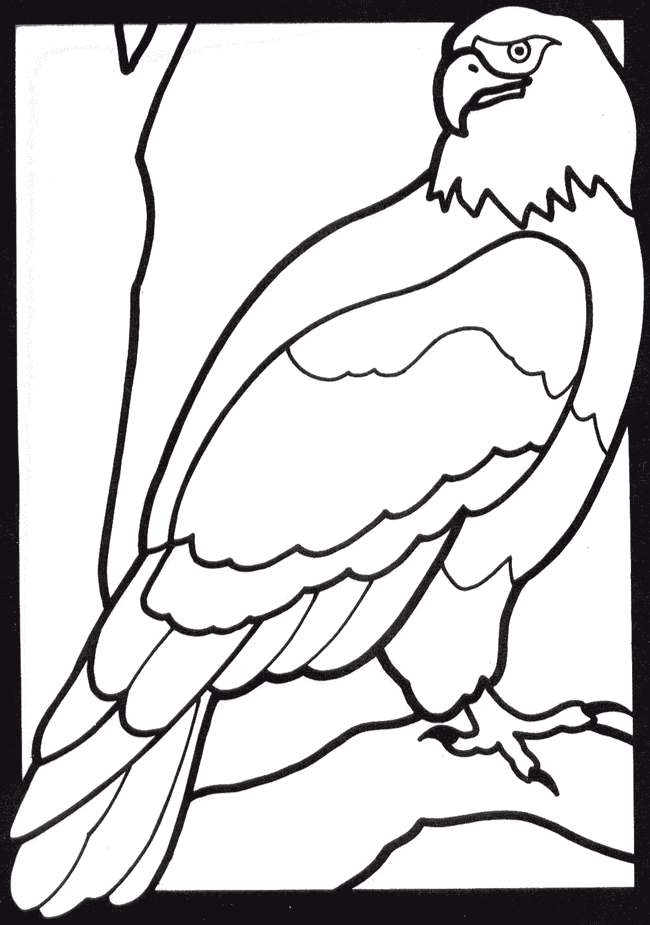Coloring Pages for Kids 