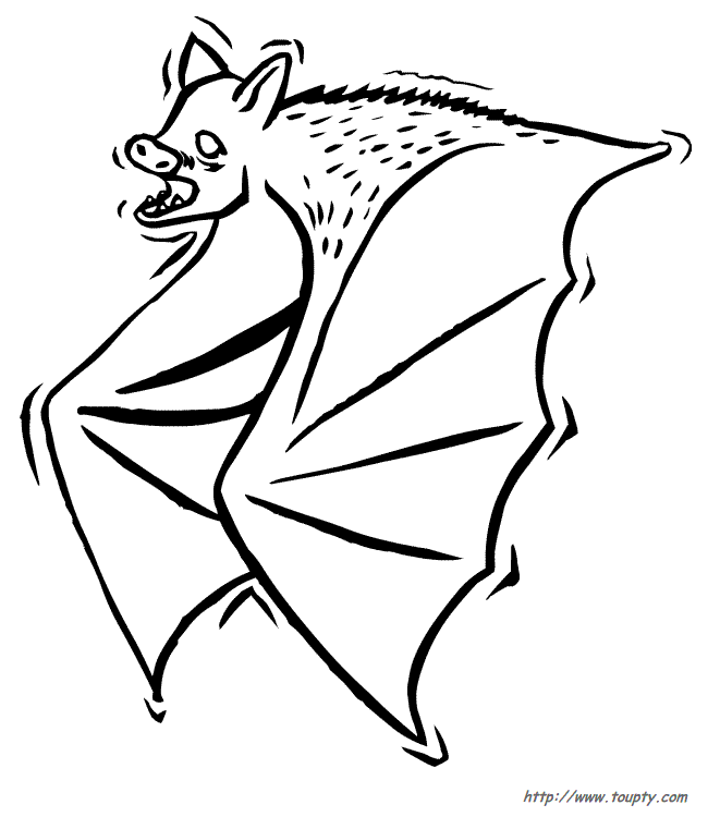 Bat Printable Coloring |Free coloring on Clipart Library