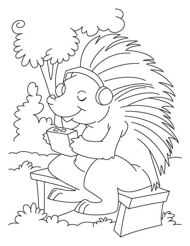 Porcupine listening to music coloring pages | Download Free